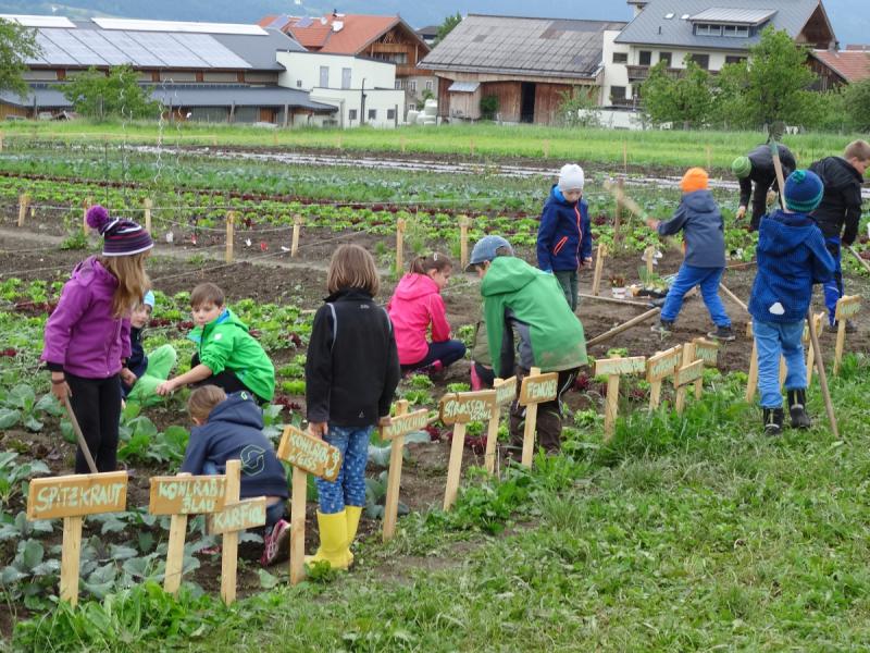 Schulkinder Tiroler Gemeinschaftsgarten Aldrans